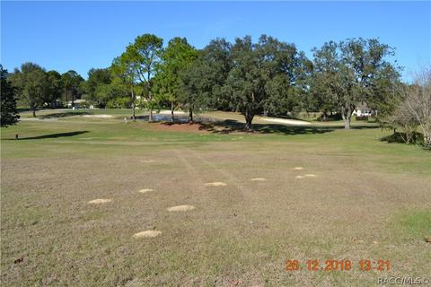 479 Epsom Ct, Hernando, FL 34442 photo 1