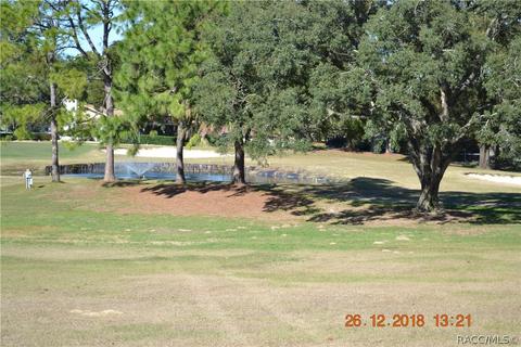 479 Epsom Ct, Hernando, FL 34442 photo 8