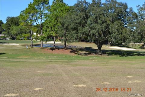 479 Epsom Ct, Hernando, FL 34442 photo 9