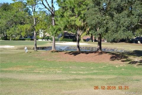 479 Epsom Ct, Hernando, FL 34442 photo 7