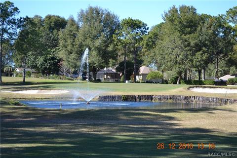 479 Epsom Ct, Hernando, FL 34442 photo 5