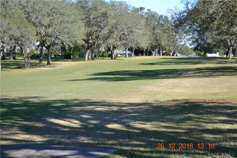 479 Epsom Ct, Hernando, FL 34442 photo 3