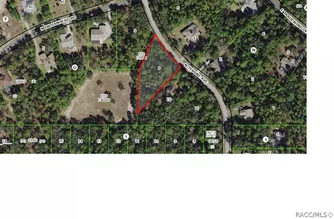 3760 N Tyrone Ave, Hernando, FL 34442 photo 1