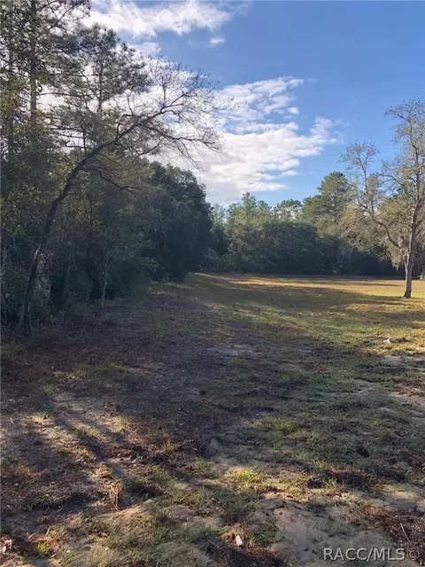 3760 N Tyrone Ave, Hernando, FL 34442 photo 6