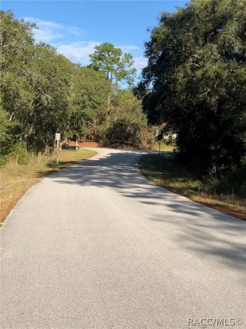 3760 N Tyrone Ave, Hernando, FL 34442 photo 9