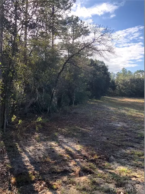 3760 N Tyrone Ave, Hernando, FL 34442 photo 7
