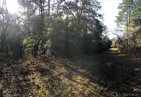 3760 N Tyrone Ave, Hernando, FL 34442 photo 4