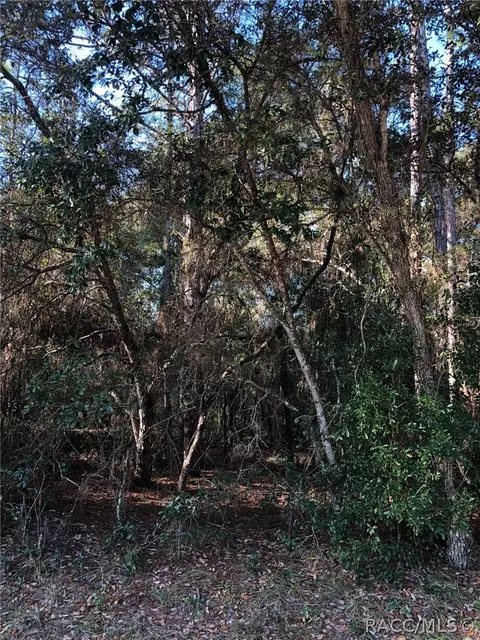 3760 N Tyrone Ave, Hernando, FL 34442 photo 3