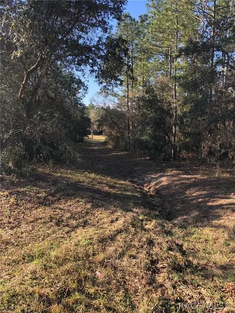 3760 N Tyrone Ave, Hernando, FL 34442 photo 5