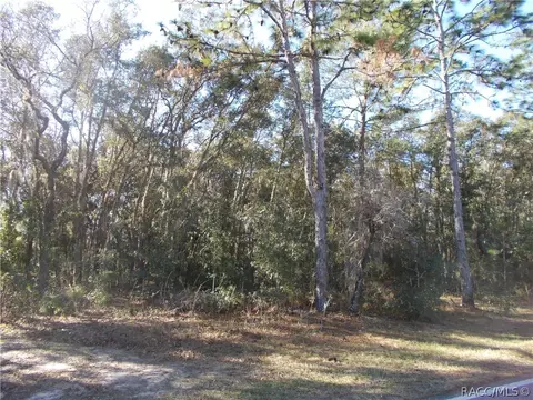 586 E Reehill St, Lecanto, FL 34460 photo 4