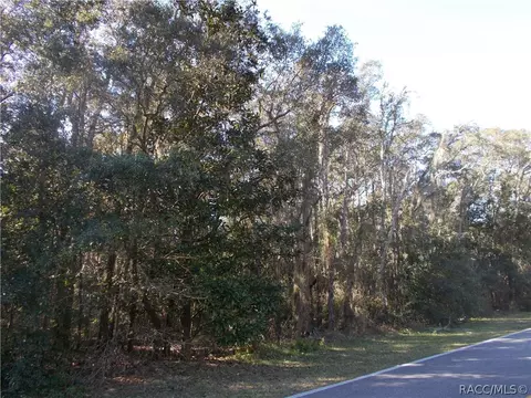 586 E Reehill St, Lecanto, FL 34460 photo 2