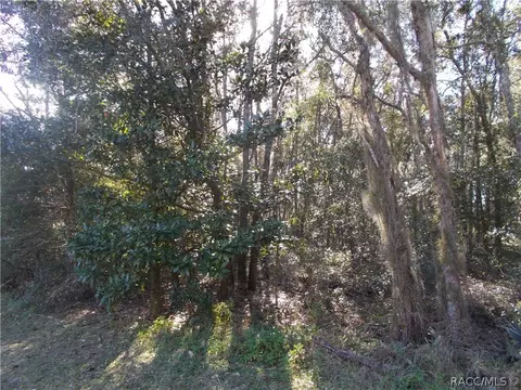 586 E Reehill St, Lecanto, FL 34460 photo 1