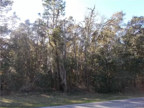 586 E Reehill St, Lecanto, FL 34460 photo 5