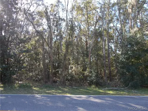 586 E Reehill St, Lecanto, FL 34460 photo 6