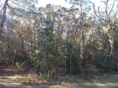 586 E Reehill St, Lecanto, FL 34460 photo 3