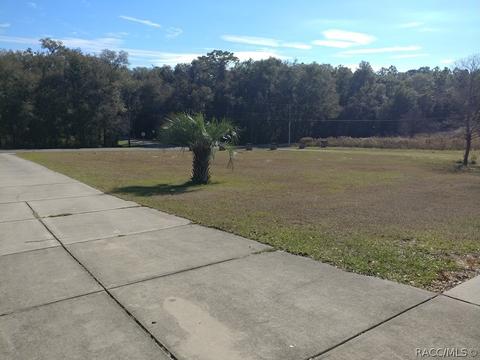 2952 N Eisenhower Ave, Hernando, FL 34442 photo 27