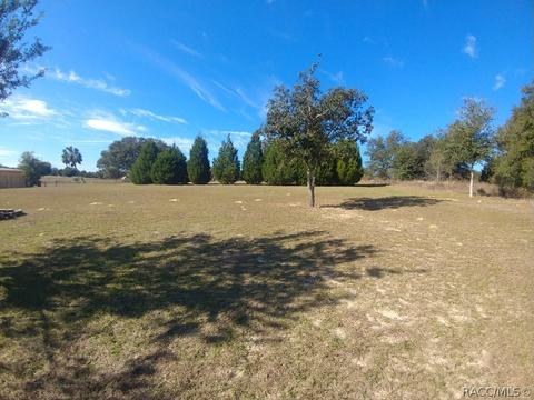 2952 N Eisenhower Ave, Hernando, FL 34442 photo 26