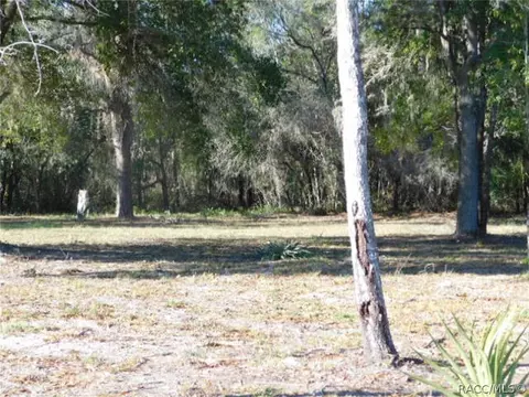 6448 N Pagoda Tree Ter, Hernando, FL 34442 photo 18