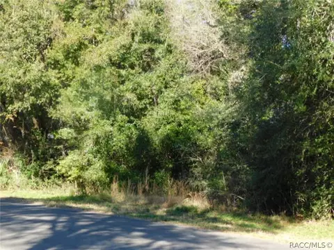 6448 N Pagoda Tree Ter, Hernando, FL 34442 photo 19