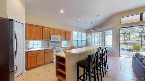 668 W Doerr Path, Hernando, FL 34442 photo 11