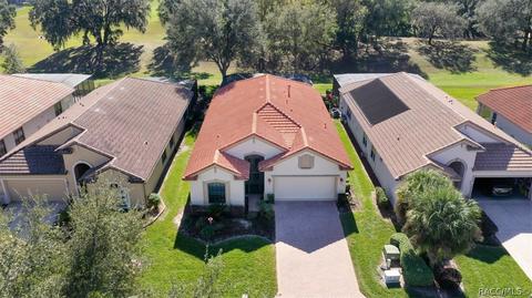 668 W Doerr Path, Hernando, FL 34442 photo 45
