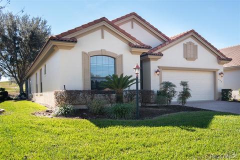668 W Doerr Path, Hernando, FL 34442 photo 42