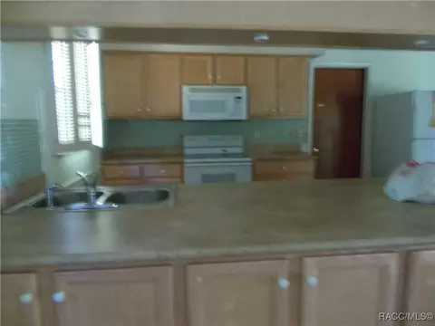 3886 E Parsons Pt, Hernando, FL 34442 photo 9