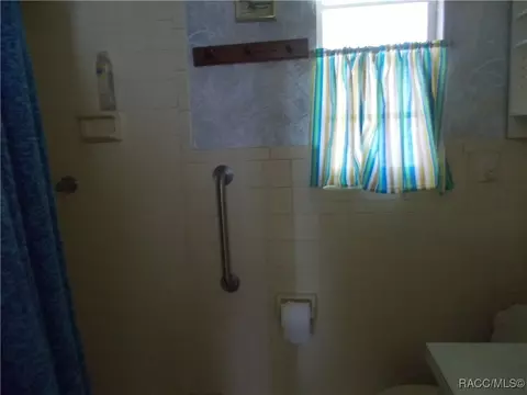 3886 E Parsons Pt, Hernando, FL 34442 photo 14