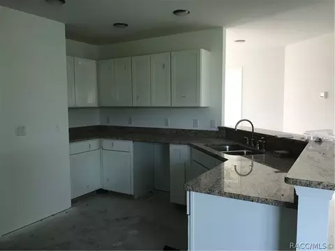 3768 E Kiwi Cove Ct, Hernando, FL 34442 photo 5