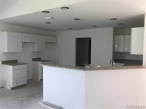 3768 E Kiwi Cove Ct, Hernando, FL 34442 photo 4