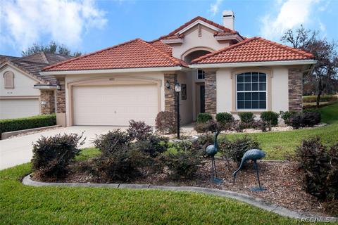 1822 N Gibson Pt, Hernando, FL 34442 photo 36