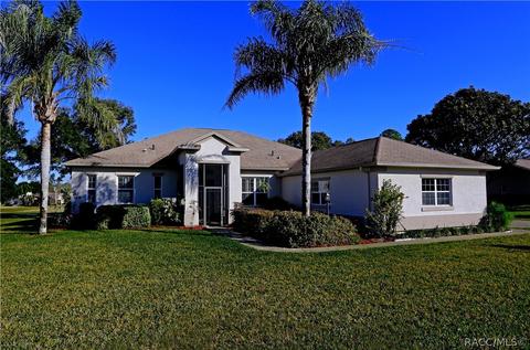 175 Eureka Ct, Hernando, FL 34442 photo 1