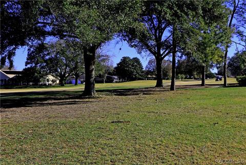 175 Eureka Ct, Hernando, FL 34442 photo 7