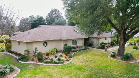 420 E Dakota Ct, Hernando, FL 34442 photo 29