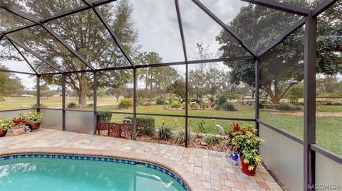 420 E Dakota Ct, Hernando, FL 34442 photo 26