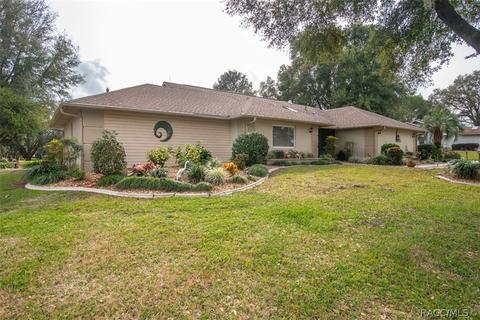 420 E Dakota Ct, Hernando, FL 34442 photo 33