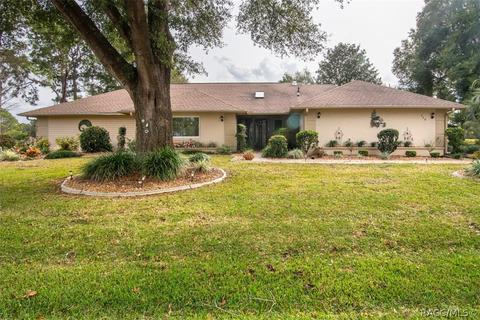 420 E Dakota Ct, Hernando, FL 34442 photo 1