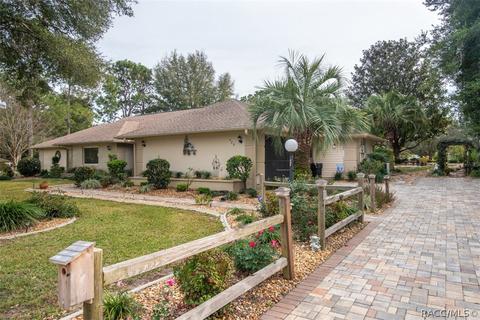 420 E Dakota Ct, Hernando, FL 34442 photo 39