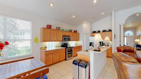 318 W Redsox Path, Hernando, FL 34442 photo 11