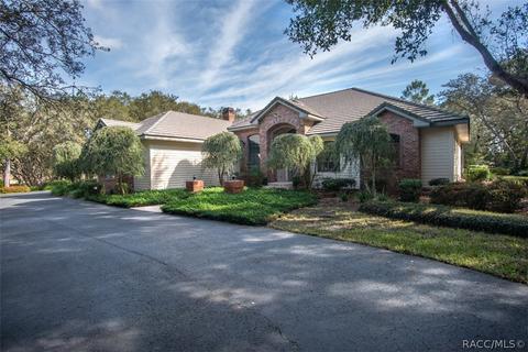 3651 N Grayhawk Loop, Lecanto, FL 34461 photo 2