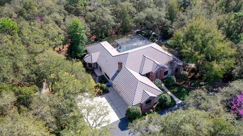 3651 N Grayhawk Loop, Lecanto, FL 34461 photo 3