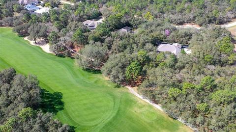 3651 N Grayhawk Loop, Lecanto, FL 34461 photo 33