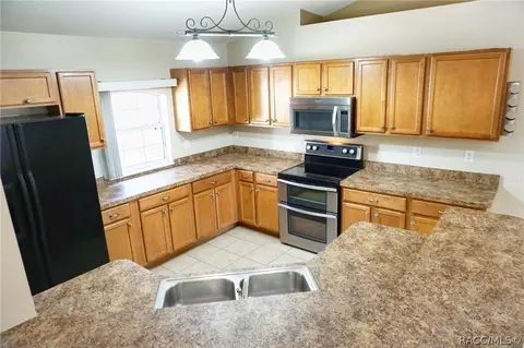 1370 E Silver Thorn Loop, Hernando, FL 34442 photo 9