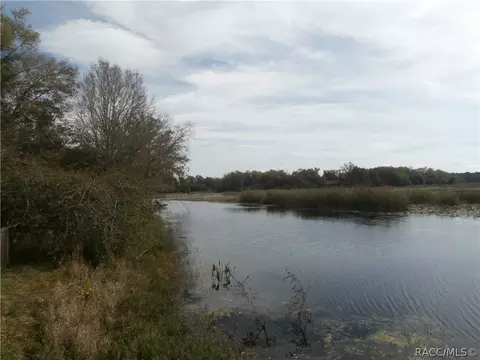 6043 N Mallard Dr, Hernando, FL 34442 photo 8