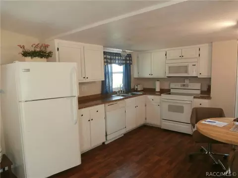 6043 N Mallard Dr, Hernando, FL 34442 photo 11