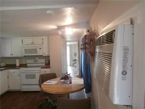 6043 N Mallard Dr, Hernando, FL 34442 photo 12