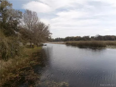 6043 N Mallard Dr, Hernando, FL 34442 photo 9