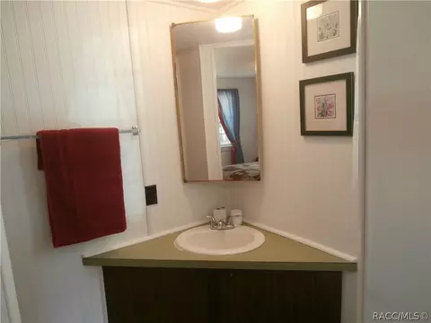 6043 N Mallard Dr, Hernando, FL 34442 photo 14