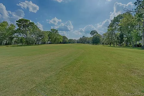 660 E Keller Ct, Hernando, FL 34442 photo 45