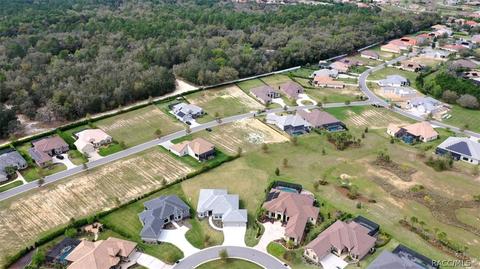 1095 W Pointer Loop, Hernando, FL 34442 photo 41
